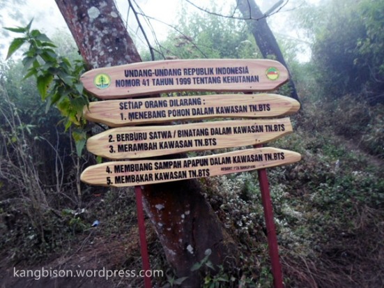aturan kawasan hutan lindung pendakian gunung semeru mahameru